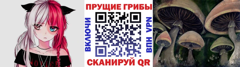 Галлюциногенные грибы мицелий  Купить закладки  Карасук 